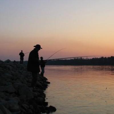 Apatin Dunav2